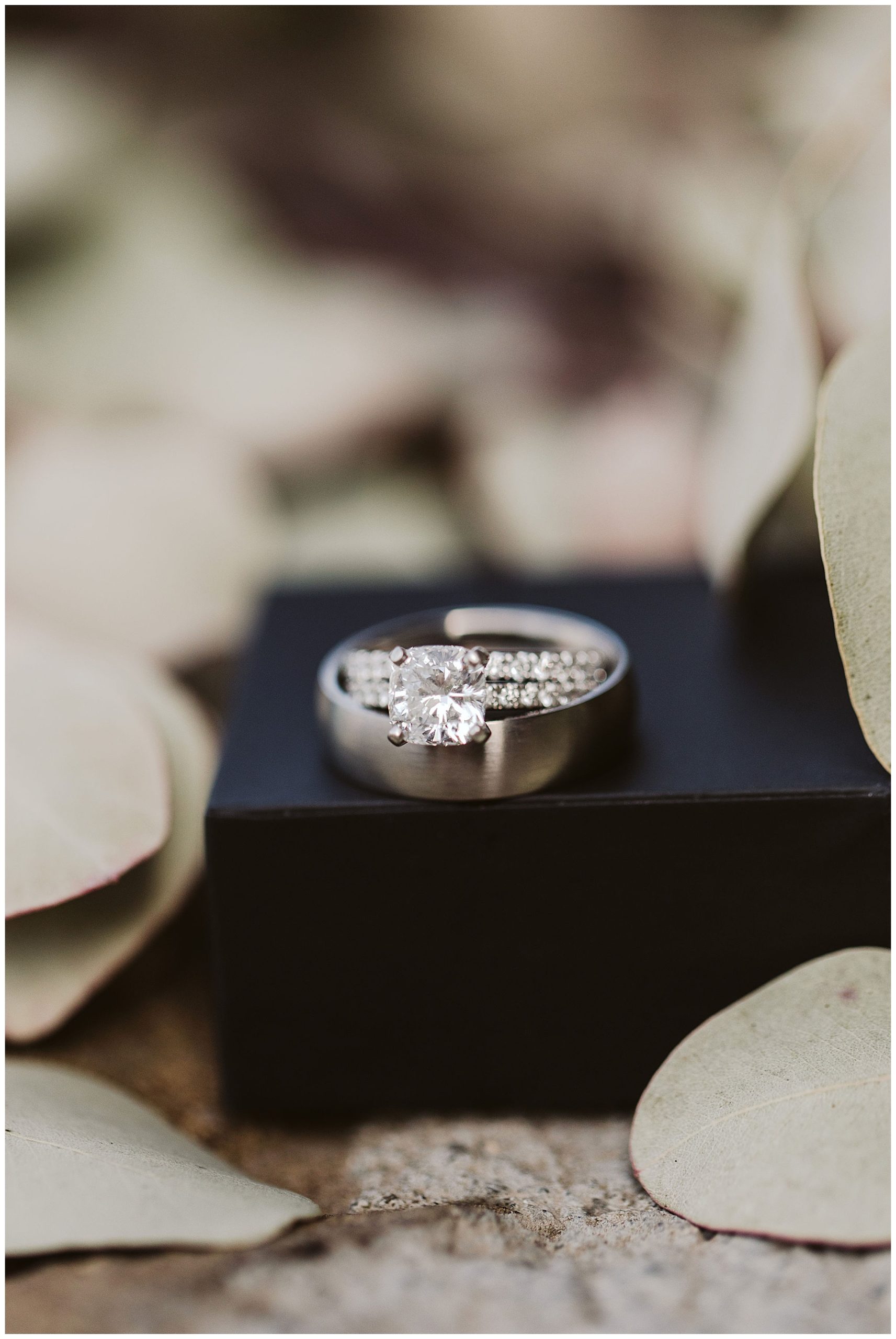 Close up of rings for this Karma Vineyards wedding