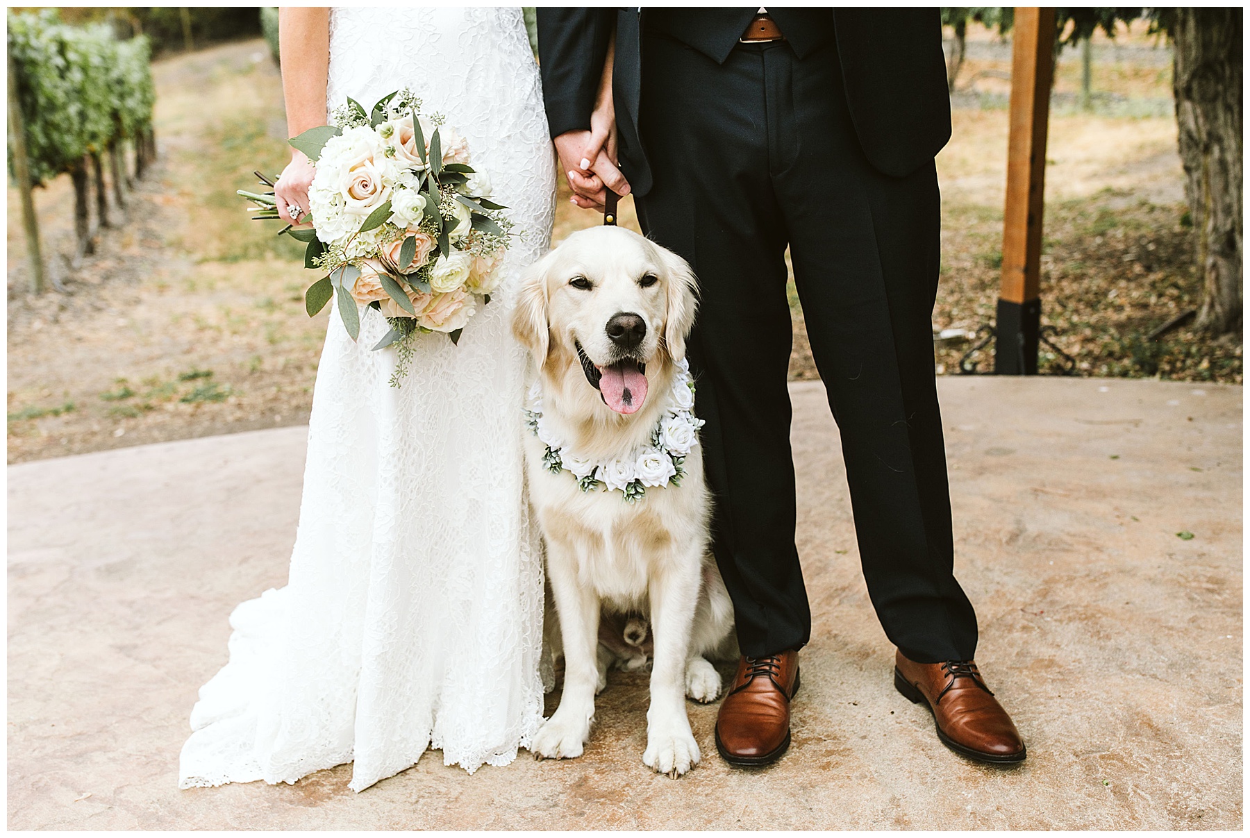 close up on couple's dog at their Karma Vineyards wedding.