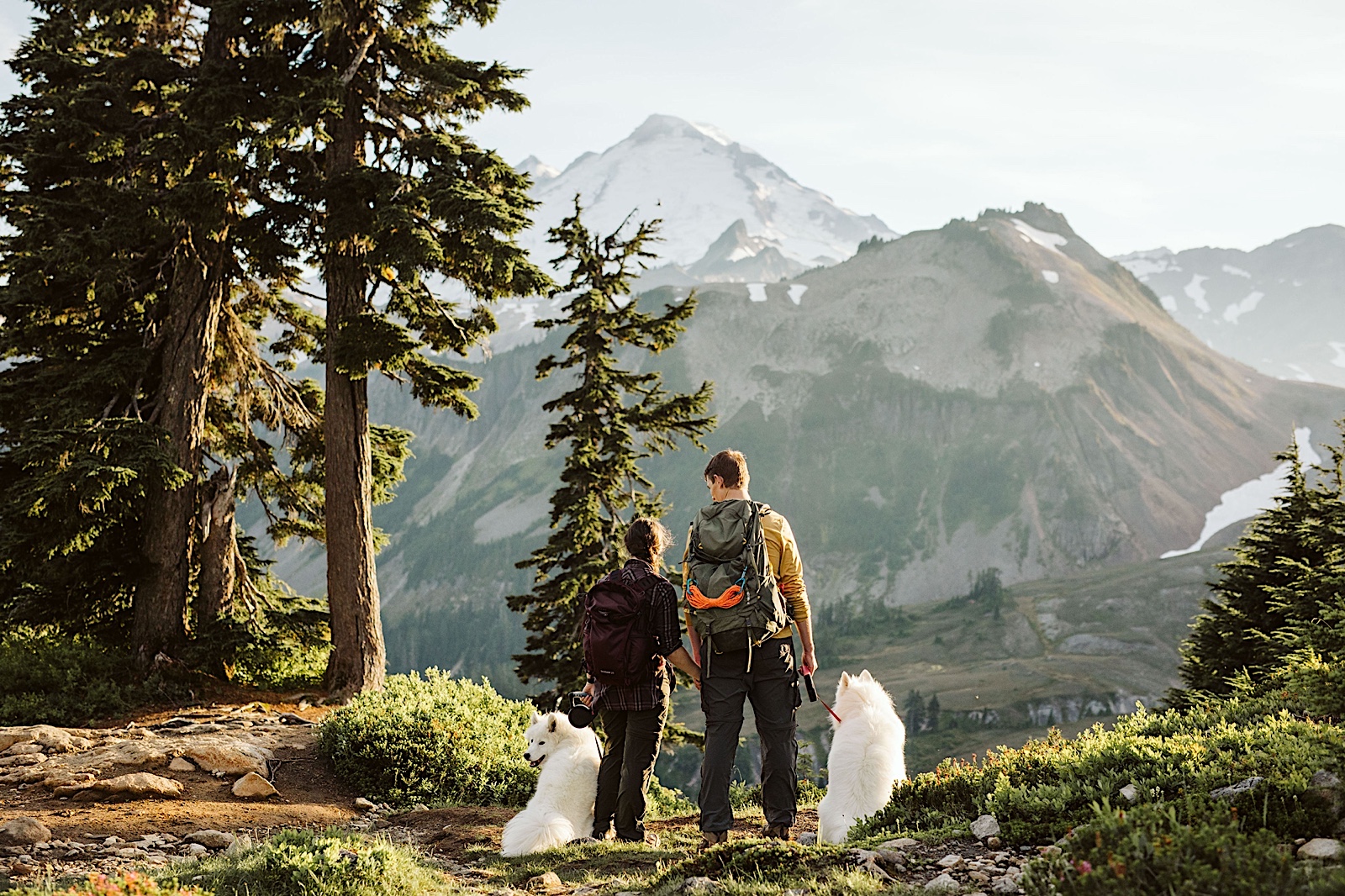 couple with their dogs at engagement session in the north cascades mountains