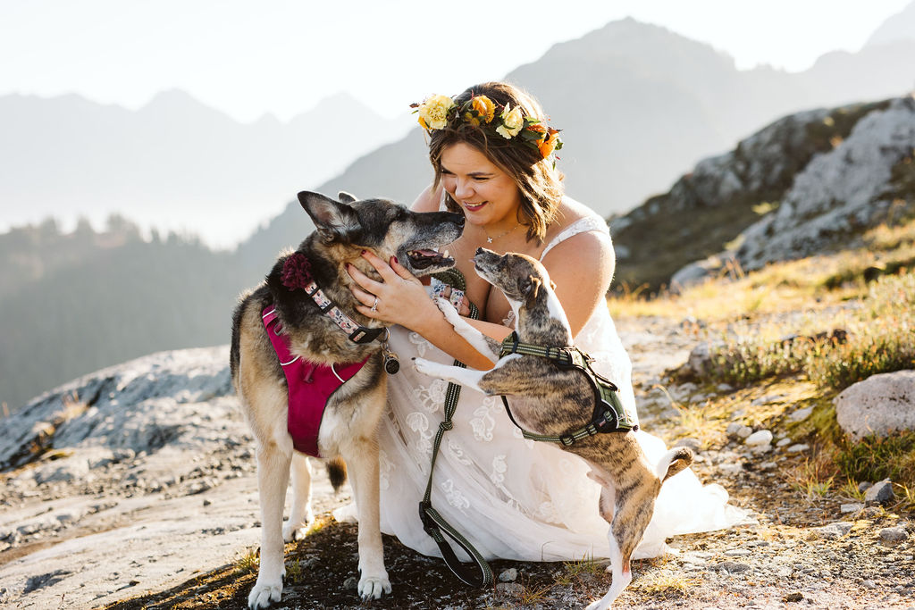 bride kneels on rocks cuddling her dogs