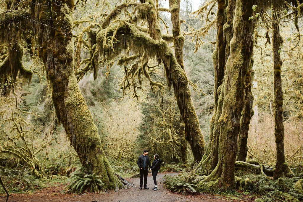 guy and girl stand among mossy trees during proposal